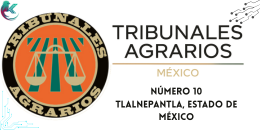 Tribunal Agrario 10